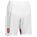 Puma Men's Fc Replica Shorts