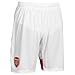 Puma Men's Fc Replica Shorts