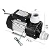 Pamico Swimming Pool Pump 1hp 110v Hot Tub Pump 0.75 Kw Water Circulation Pool Pump Spa Pump Above Ground Pool and Whirlpool Bath