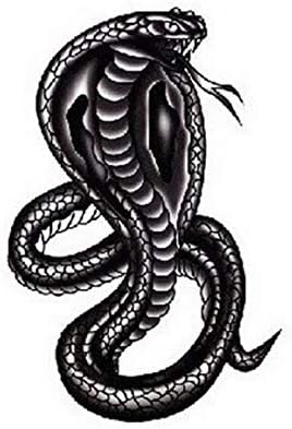 jianghang Wonderful Temporary Tattoo Sticker Fashion Faux Snake Cobra Water Transfer Tattoo Flash Tattoo for Men WaterProof Body Art(None 1)