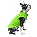Gooby Fleece Vest Dog Sweater - Lime, Large - Warm Pullover Fleece Dog Jacket with O-Ring Leash for Small to Medium Dogs
