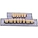 WECANDO 168 Pcs Dental Synthetic Resin Tooth Denture 6 Sets False Teeth for Halloween Horror Teeth 23 A2