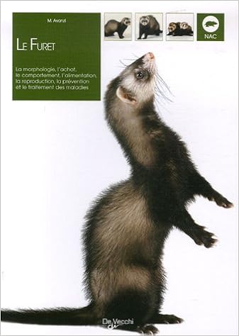 Le Furet Amazon Co Uk Avanzi Marta Breffort Cecile Books