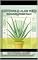 Livro protocolo aloe vera