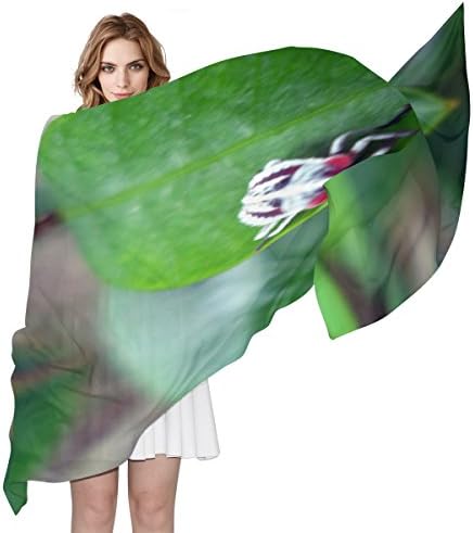 BYouLockX Women's Silk Scarf Shawl With Red Spider Pattern