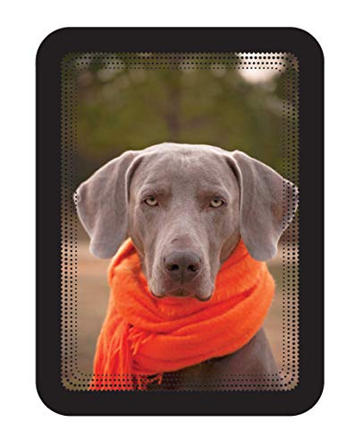 Tarifold 948938 Cornice con Retro Magnetico, Confezione da 2 Pezzi