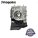 Mogobe for 20-01501-20 Replacement Bulb with Housing for SMARTBOARD 480i5, 880i5, 885i5, SB880, SLR40Wi, UF75, UF75W, Unifi 75, Unifi 75w, UNIFI75/W