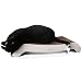 PetFusion Cat Scratcher FLIP Lounge. [Reversible and @ 27" fits Even The Largest Cats primary