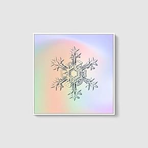 Framed Canvas Wall Art for Living Room, Bedroom Snowflake Theme Canvas Prints for Home Decoration Ready to Hang - 16x16 inches