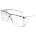 Sellstrom Lightweight, Over-The-Glass Safety Glasses, Protective Eyewear, Clear Lens, Clear Frame with Side shields (Qty 1), S79103