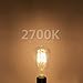GEZEE 10W Edison Style Vintage LED Filament Light Bulb, 100W Incandescent Replacement,Warm White 2700K,1000LM, E26 Medium Base Lamp, ST21(ST64) Antique Shape, Dimmable(3-Pack)