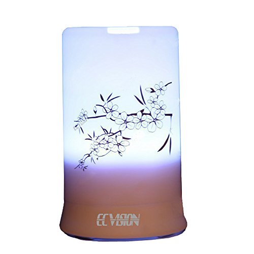 ECVISIONÂ® 100ml Aromatherapy Essential Oil Purifier Aroma Diffuser Air Humidifier 4 Timer Settings and 6 Color Light Changes Great for Room Size of 10*15 SqFt -with 180 days Product Replacement Warranty FROM ECVISION(Plum)