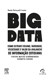Livro Big Data: Como extrair volume, variedade, velocidade e valor da avalanche de informação cotidiana