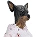 Off the Wall Toys Chihuahua Dog Costume Face Mask Kennel Club Browns