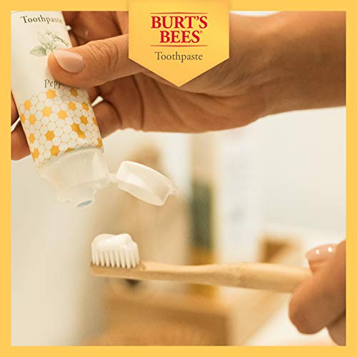 Burt's Bees Toothpaste, Natural Flavor With Fluoride Clean & Fresh