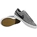 Nike Men's SB Blazer Zoom Low Skate Shoe