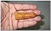 Jet Golden Quartz Obelisk Wand 8 Faceted Gemstone Meditation Healing Earth Spirit Chakra Balancing 3 inch Long Approx.