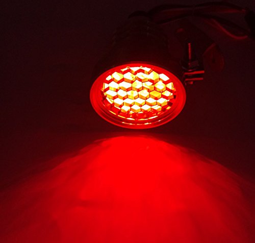 TASWK Brake Tail Light Motorcycle License Plate Mount Lights for Harley Dyna Bobber Honda Yamaha Suzuki Kawasaki (Copper)