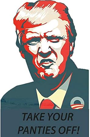 Amazon Co Jp Jrlp Frames トランプマガ Gop 選挙名言 Gop 選挙名言 選挙名言 ステッカー デカール バンパー 壁 窓 ステッカー 5インチ 車 バイク