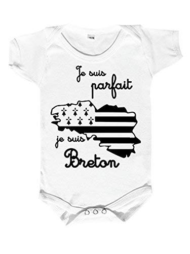 Je Suis Breton Body Bebe Breizh Je Suis Parfait Body Bebe 100 Breton Body Bebe Humoristique Bebe Et Puericulture Produits Handmade Centroarco Com