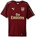 PUMA Men's Arsenal Fc Training Jersey Ss