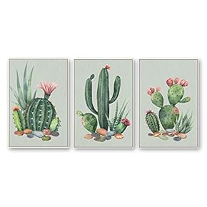 Framed Canvas Wall Art for Living Room, Bedroom Beautiful Plants Cactus Canvas Prints for Home Decoration Ready to Hanging - 16"x24"x3 Panels