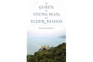 The Gurus, the Young Man, and Elder Paisios