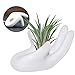6 Pack Ceramic Air Plant Stand Holder, Hand Shape Tillandsia Airplant Container Pot Tabletop Plant Display Hand Racks for Home Office Decoration Supplies(White)thumb 3
