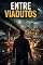 Livro Entre Viadutos