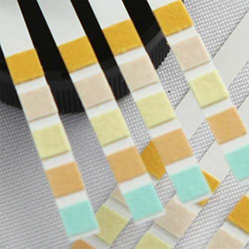 Itlovely 100Pcs URS-5K Glucose PH Protein Ketone Blood Urine Test Strip Reagent Strip for Urinalysis with Anti-VC Interference Ability