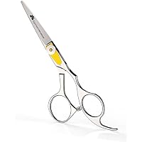 Equinox International Equinox Professional Razor Edge Series 6.5 Inch Hair Thinning Texturizing Barber Scissors (Silver)
