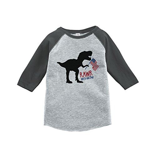 Custom Party Shop Kids Dinosaur 4th of July Grey Baseball Tee 5T