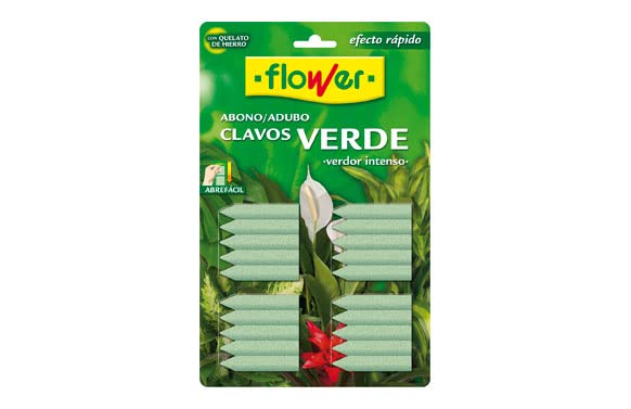 Flower M281985 – Compost Sticks Green Pack of 20