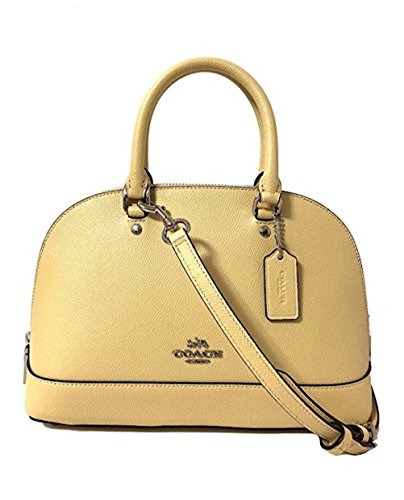 coach vanilla bag