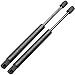 ECCPP Lift Support Trunk Replacement Struts Gas Springs Fit For Cadillac CTS 2004-2007 Set of 2