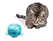 PetSafe Fishbowl Food Dispensing Cat Toy