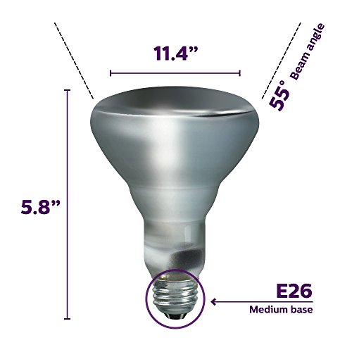 Philips BR30 Indoor Dimmable Flood Light Bulb, 620 Lumen, Soft White