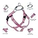 2 Hounds Design Freedom No-Pull Dog Harness, Adjustable Comfortable Control for Dog Walking, Made in USA (Leash Sold Separately) (Small 5/8