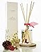 LOVSPA Reed Diffuser Set, Joy Winterberry Spruce Scented Oil Diffuser with Sticks, Home Fragrance Accessories for Bathroom Shelf Decor, Aroma Diffusers for Home or Office Desk, USA Made