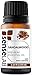 SenseLAB Indian Sandalwood Essential Oil - Wellness and Relaxation - Fragrance Oil - 100% Pure Extract Therapeutic Grade Sandalwood Oil for Aromatherapy Diffuser (10 ml)