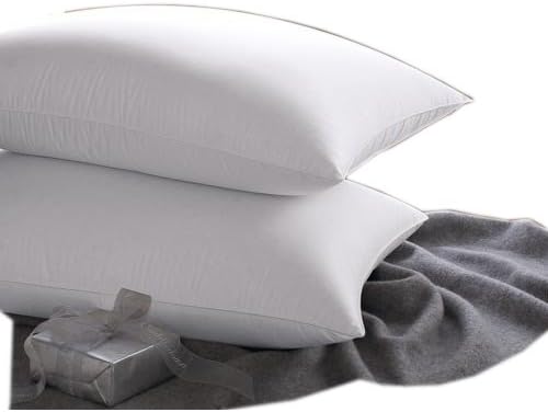 Amazon Com East Coast Bedding Down Pillows Set Of 2 100 Real