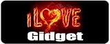 Kitchen Personalised Printed Coffee MUG - i Love Gidget Book