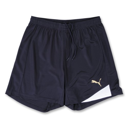 PUMA Esito 3 SOCCER Shorts (Navy)
