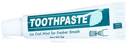 Ice Cool MINI MINT Toothpaste Fresh Breath 5g MINIATURE TRAVEL/ POCKET SIZE