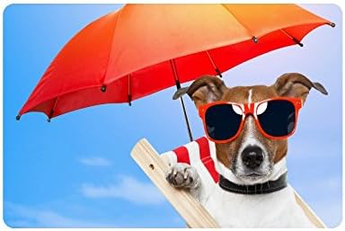 Funny Puppy Dog Wear Sunglasses Durable Home Indoor/Outdoor Floor Mat Doormats 23.6 x 15.7 inches(Small)
