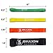 5BILLION Pull Up Bands, Exercise Resistance Bands - Mobility & Stretch Band - Powerlifting Bands, Perfect for Weight Lifting, Strength Training, Powerlifting - Set of 4