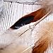 Barogirl Feather Hair Clip Extension Boho Indian Hairpin Tassel Hemp Hippie Headdress DIY Accessories