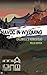 Caldwell's Homestead: Havoc in Wyoming, Part 1 by Millie Copper