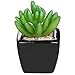 MyGift Set of 3 Modern Home Decor Mini Succulent Artificial Plants with Square Black Ceramic Pots