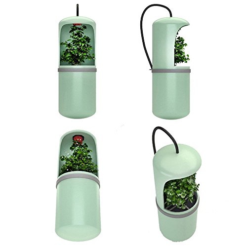 Toyofmine Gecko Lizard Chameleon Reptile Drinking Water Dripper Dispenser TerrariumHabitat